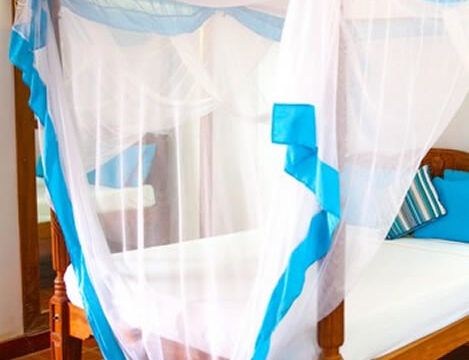 Superior Room Pool View